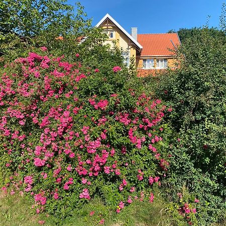 Apartament Neulandhof Spoering Walsrode Zewnętrze zdjęcie